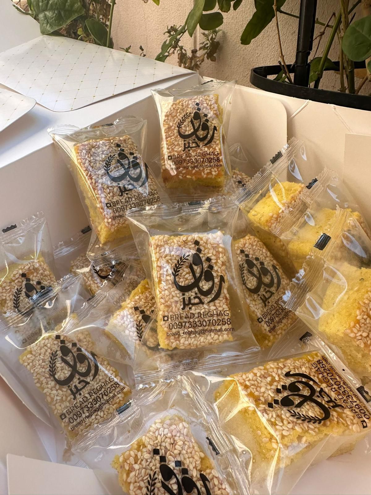 WhatsApp Image 2024-07-27 at 16.42.00_1036f430